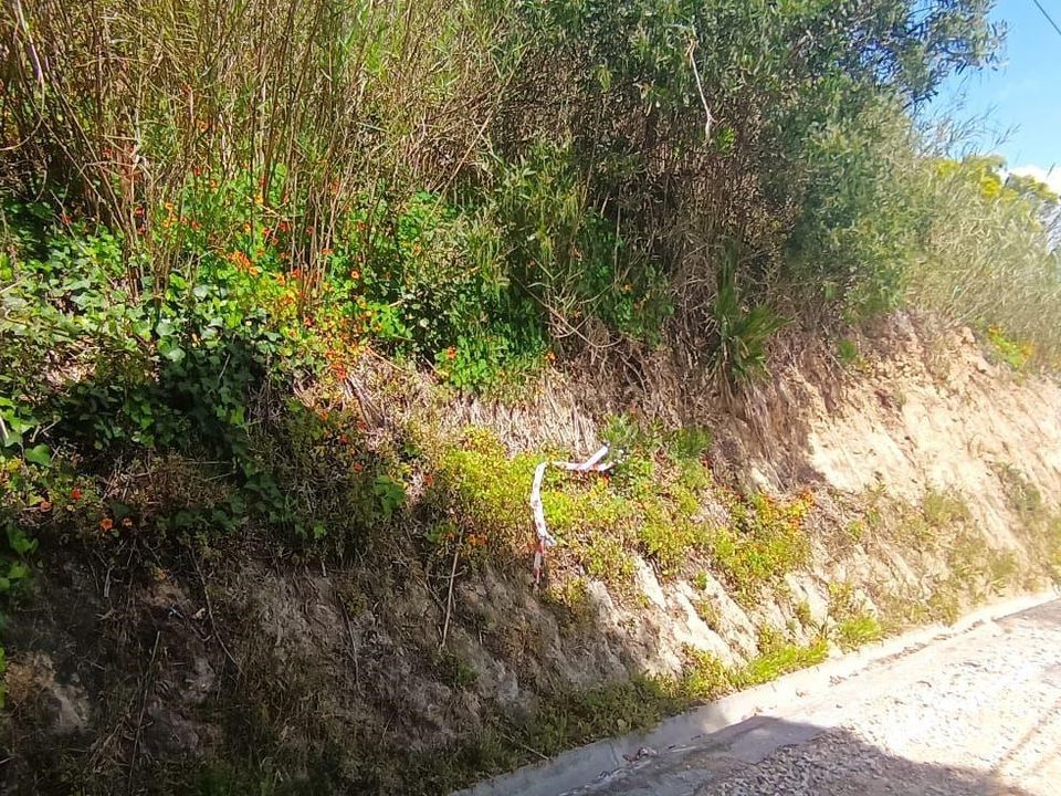 Tomt i Foz do Arelho, Leiria - bilde 5