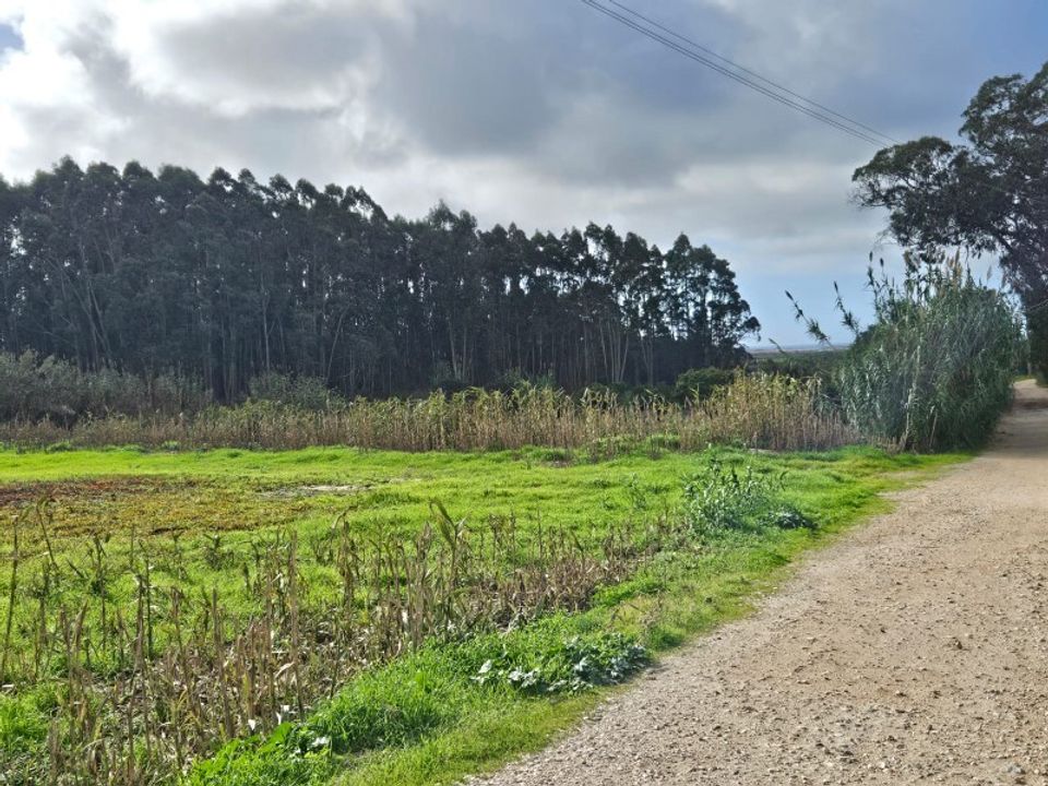 Helårsgrund i Atouguia da Baleia, Leiria - foto 4
