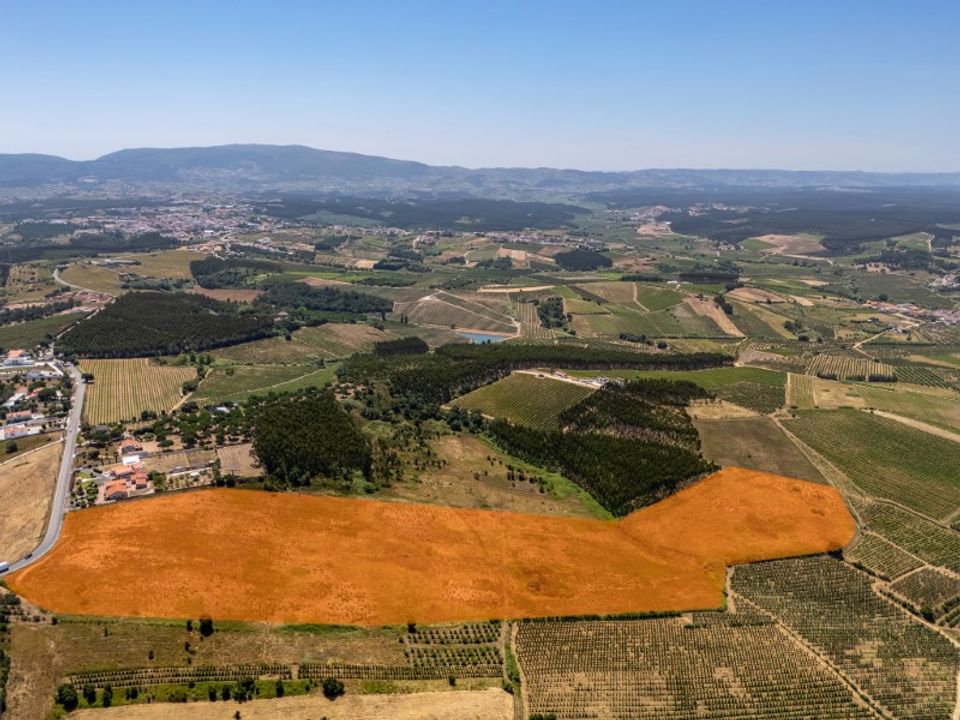 Helårsgrund i Carvalhal, Leiria - foto 1
