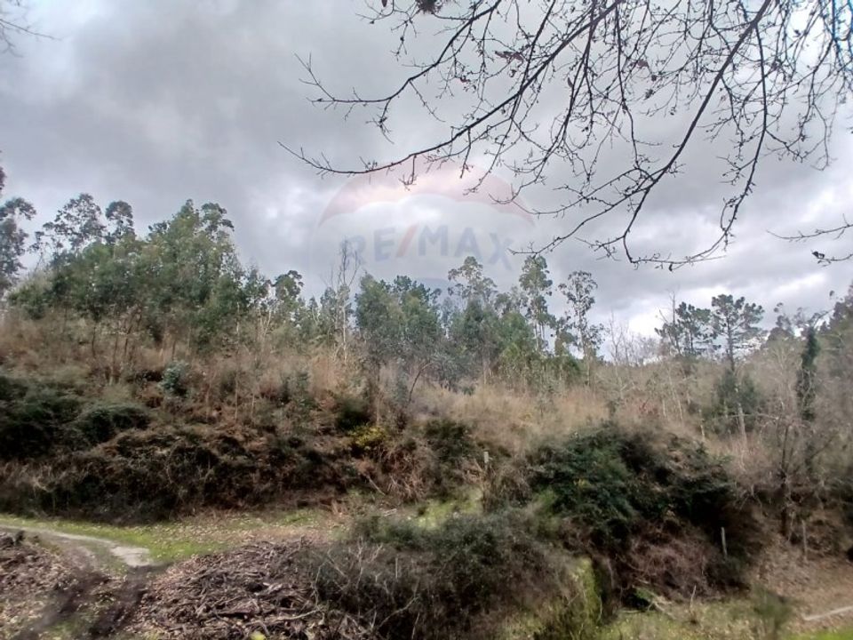 Helårsgrund i Arcos de Valdevez, Viana do Castelo - foto 1