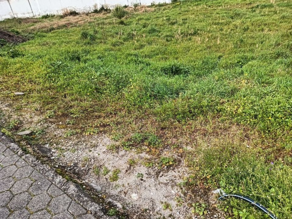 Helårsgrund i Ilhavo, Aveiro - foto 3