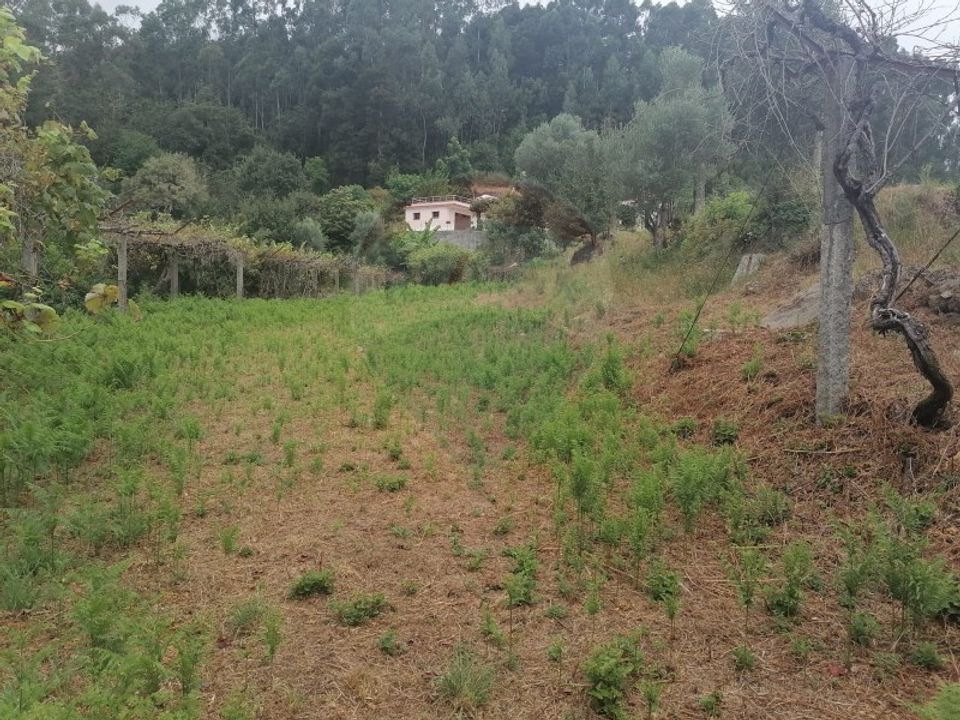 Helårsgrund i Arcos de Valdevez, Viana do Castelo - foto 4