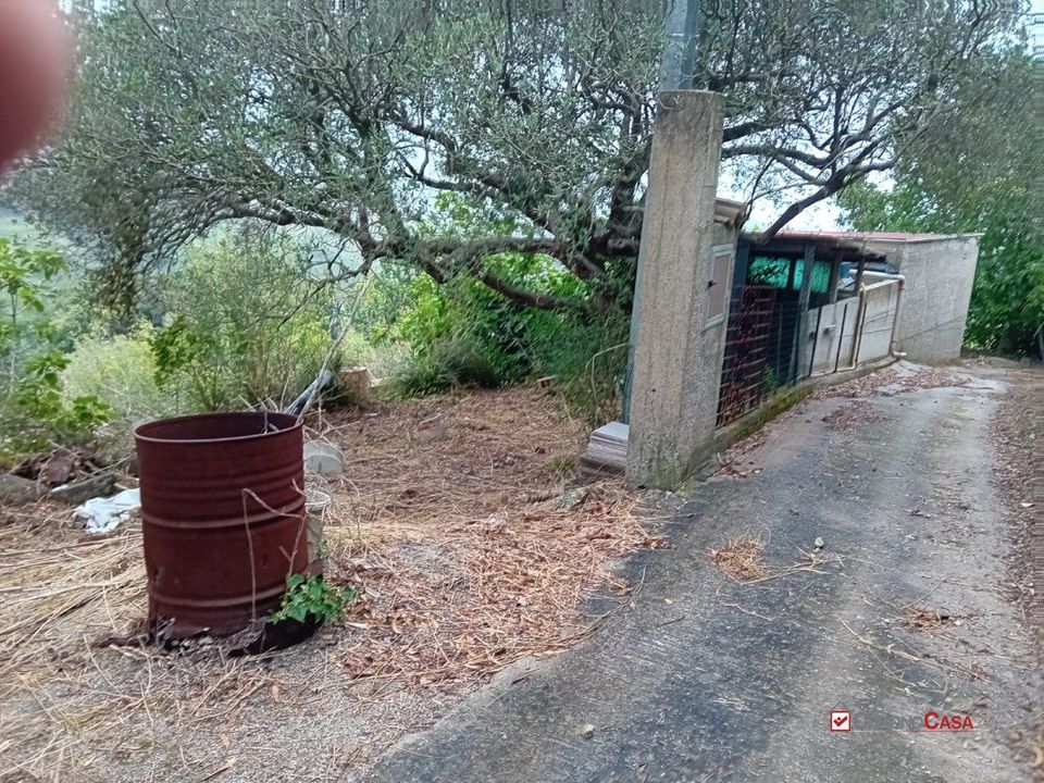 Helårsgrund i Messina, Messina - foto 1