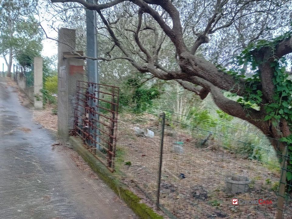 Helårsgrund i Messina, Messina - foto 4