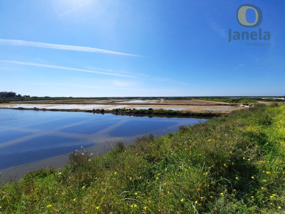 Farm i Olhao, Faro - foto 3