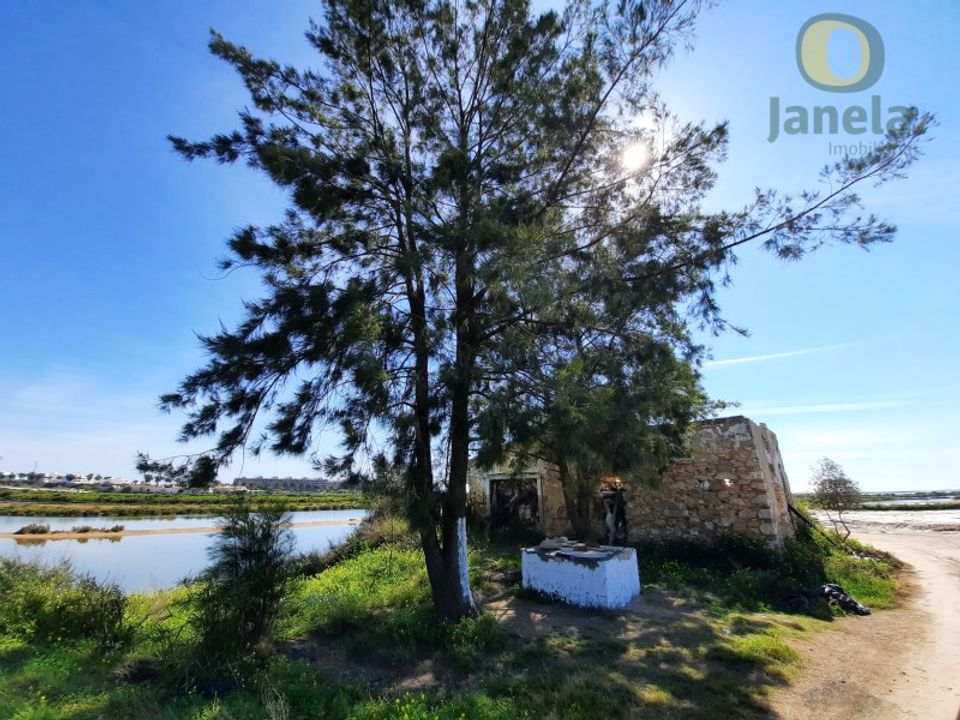 Farm i Olhao, Faro - foto 4