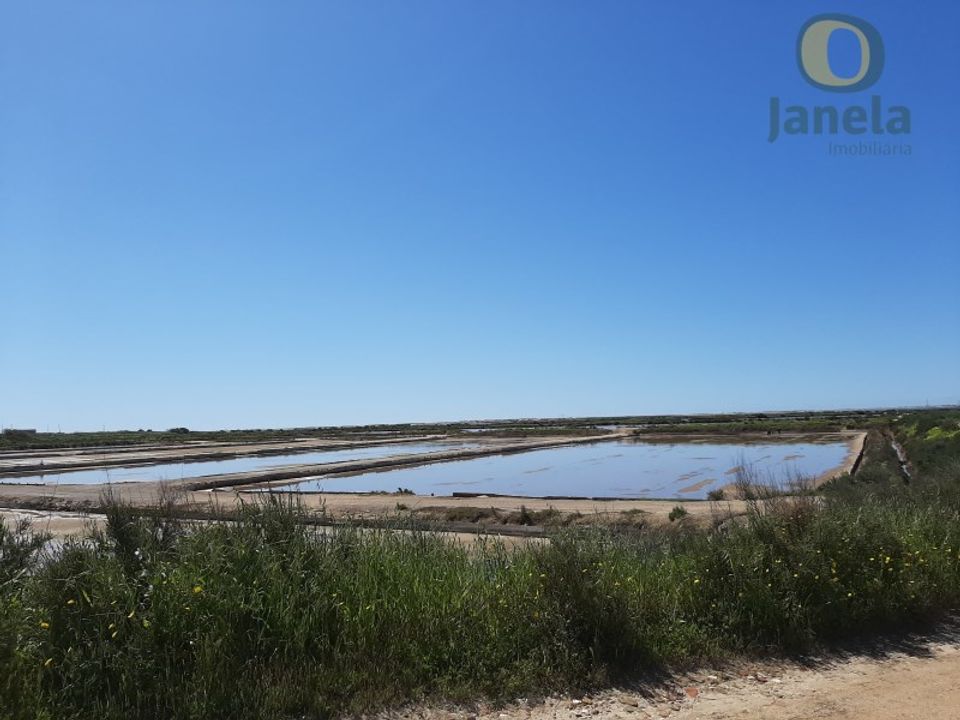 Farm i Olhao, Faro - foto 5