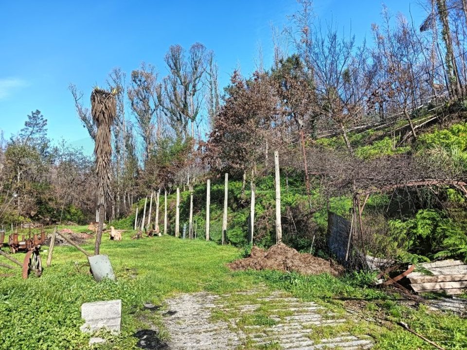 Helårsgrund i Angeja, Aveiro - foto 1