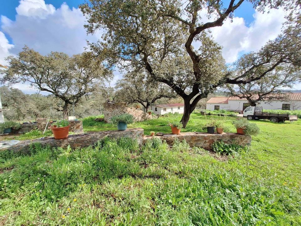 Farm hus i Safara, Beja - foto 1