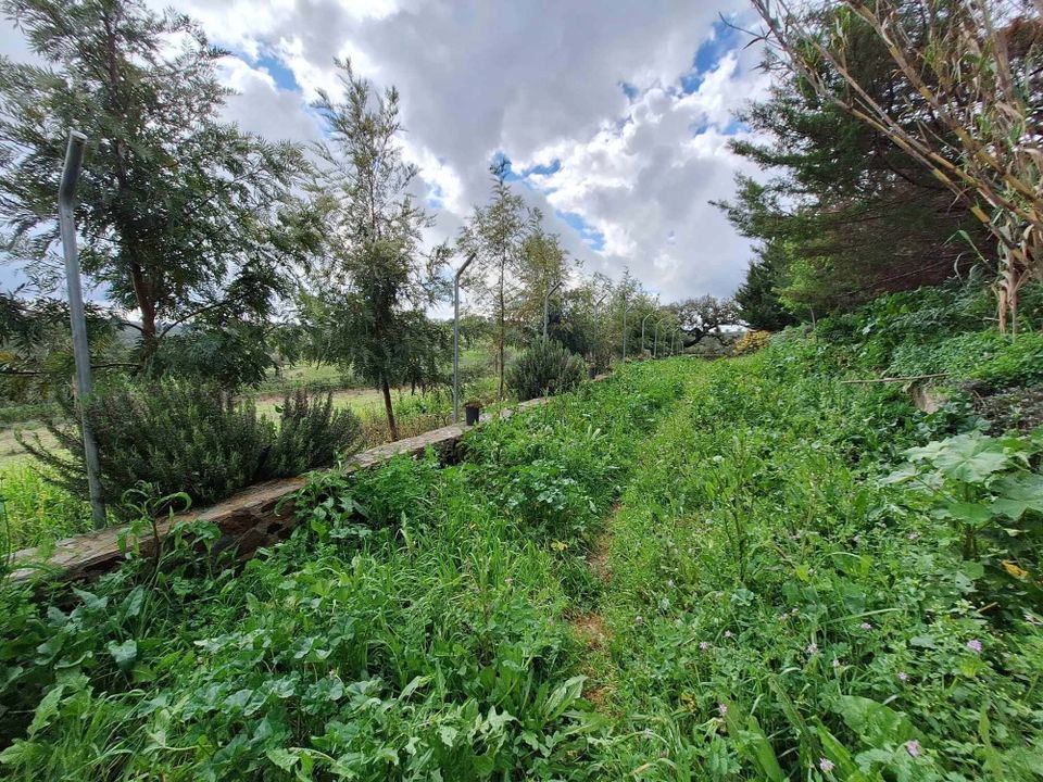 Farm hus i Safara, Beja - foto 4