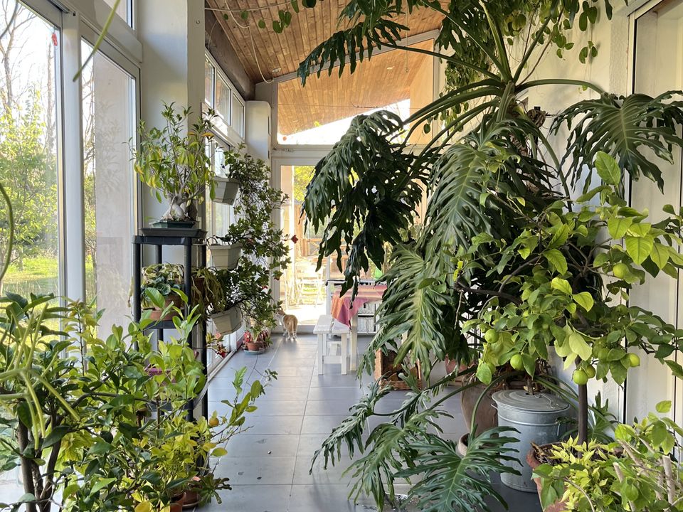 Villa i Gignac, Herault - foto 2