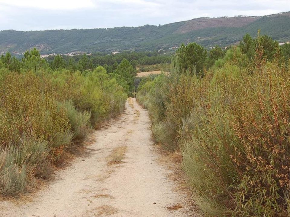 Helårsgrund i Vale de Prazeres e Mata da Rainha, Castelo Branco - foto 4