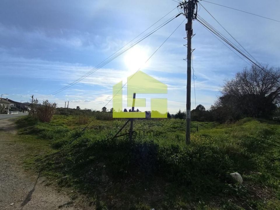 Terra em Condeixa-a-Nova, Coimbra - foto 4