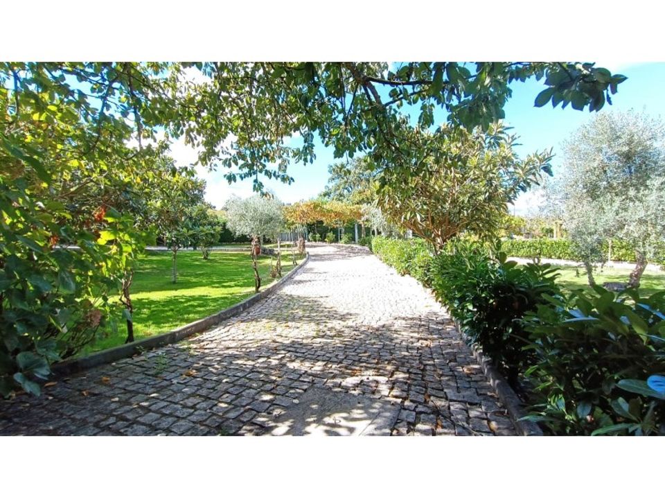 Farm i Fundao, Castelo Branco - foto 3