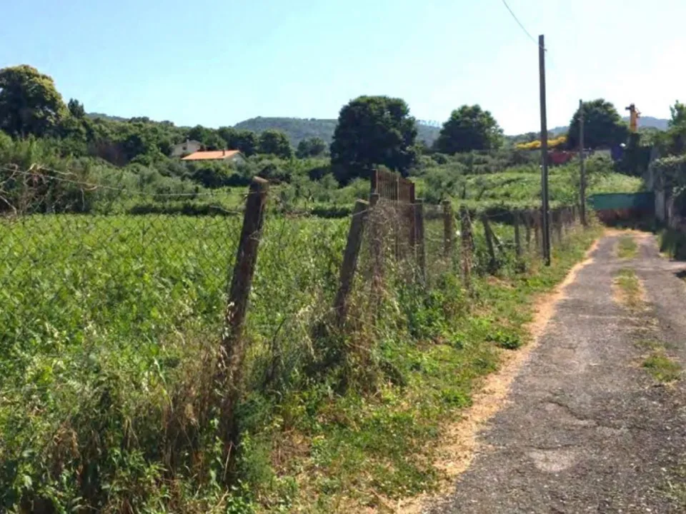 Helårsgrund i San Cesareo, Rome - foto 1