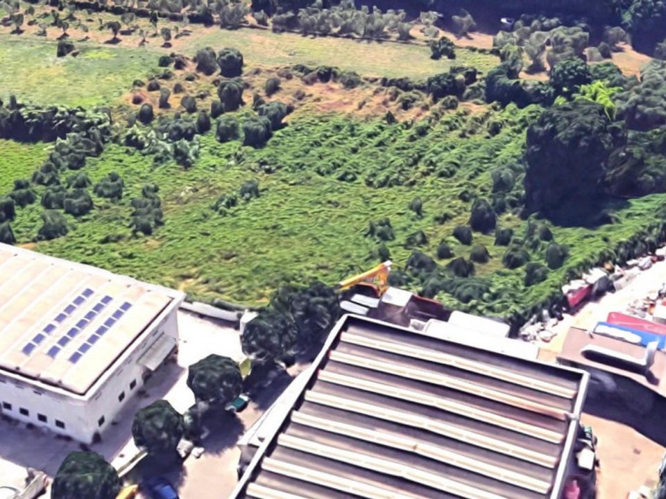 Helårsgrund i San Cesareo, Rome - foto 4