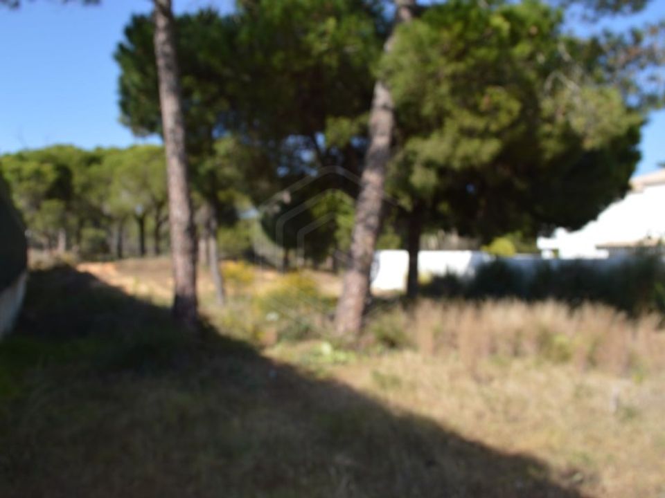 Helårsgrund i Almancil, Faro - foto 4