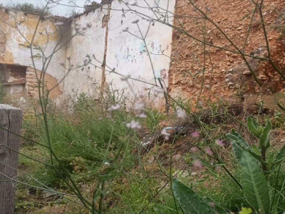Helårsgrund i Carvoeiro, Faro - foto 1