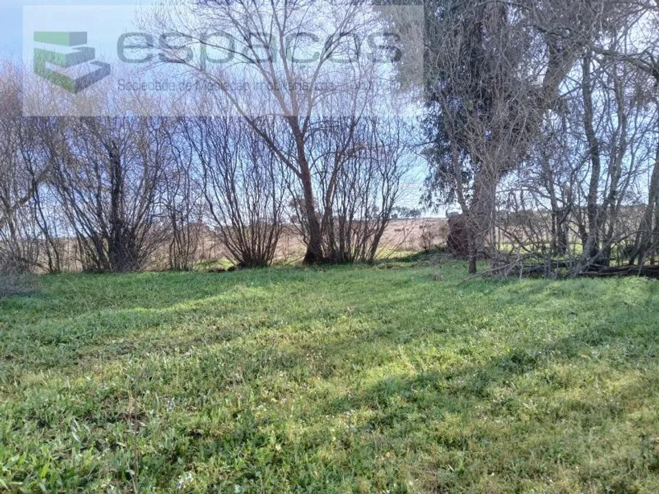 Helårsgrund i Fundao, Castelo Branco - foto 2