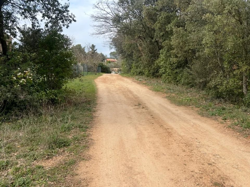 Helårsgrund i Saint-Maximin-la-Sainte-Baume, Var - foto 3