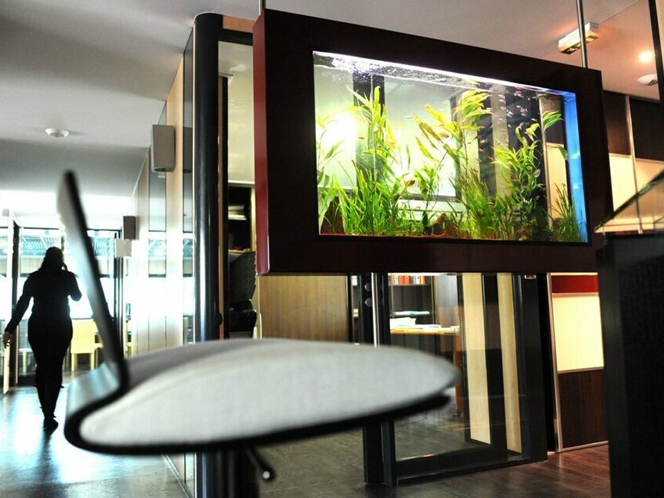 L'establiment comercial a Cenon, Gironde - foto 4