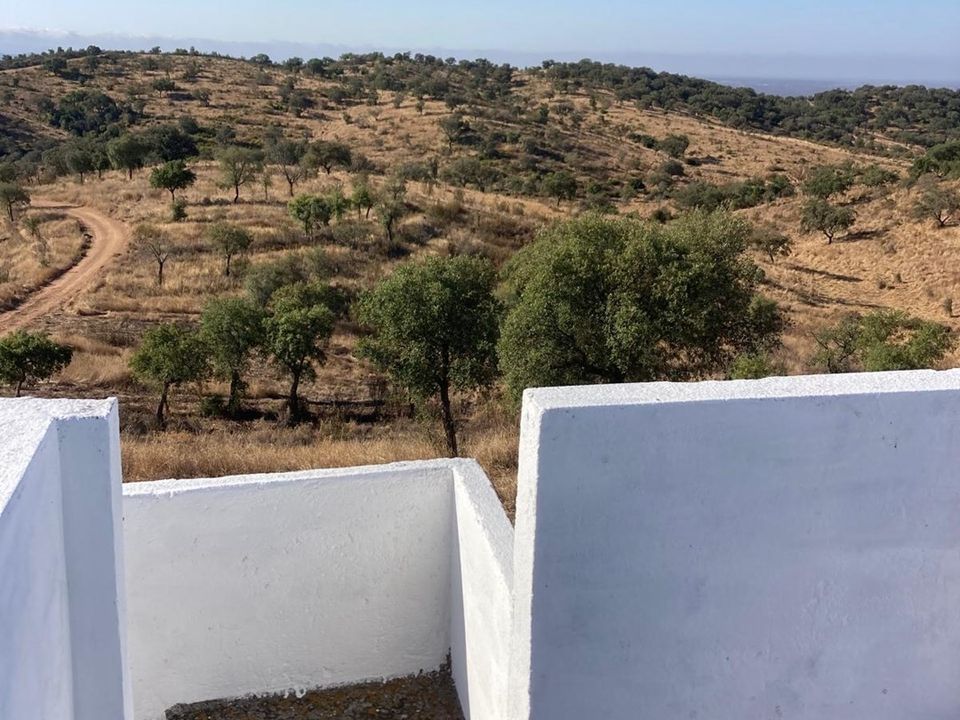 Farm i Safara, Beja - foto 1