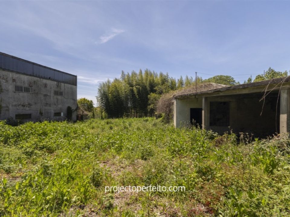Villa i Mozelos, Aveiro - bilde 5