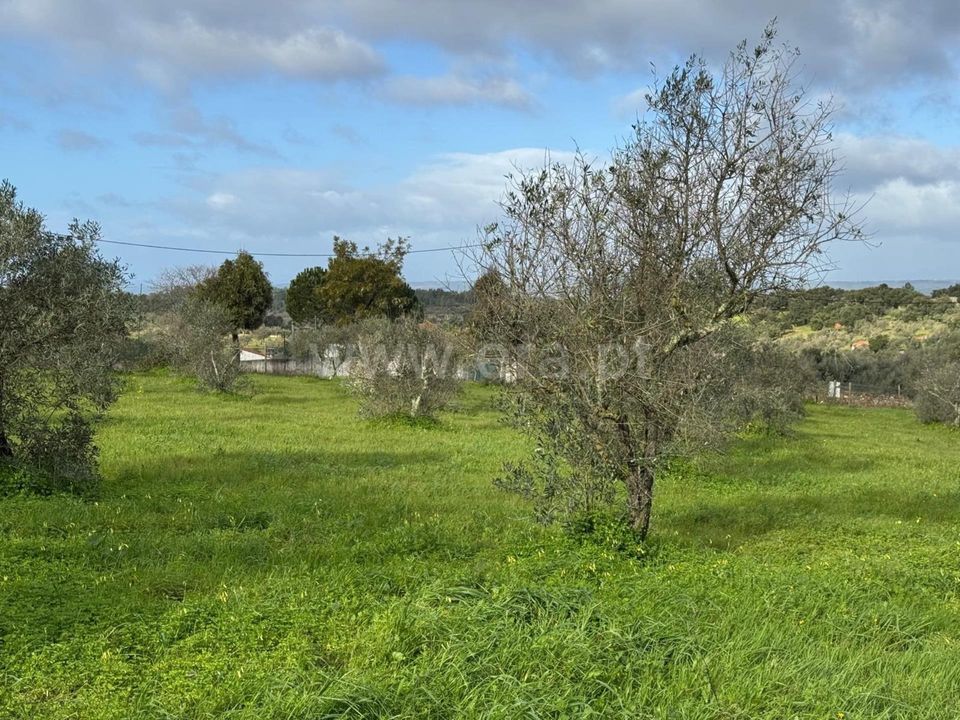 Landejendom i Castelo Branco, Castelo Branco - foto 2