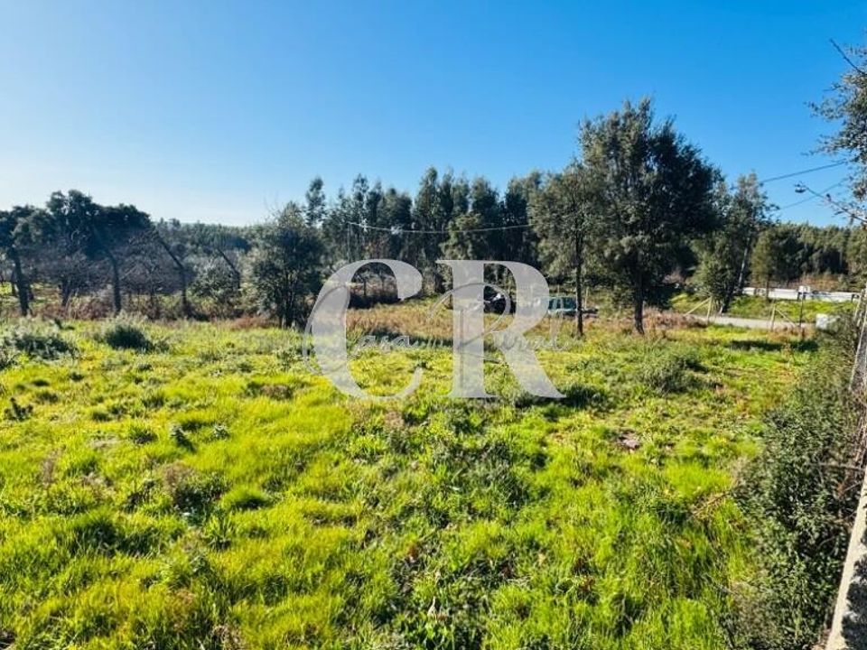 Helårsgrund i Pedrogao Grande, Leiria - foto 4