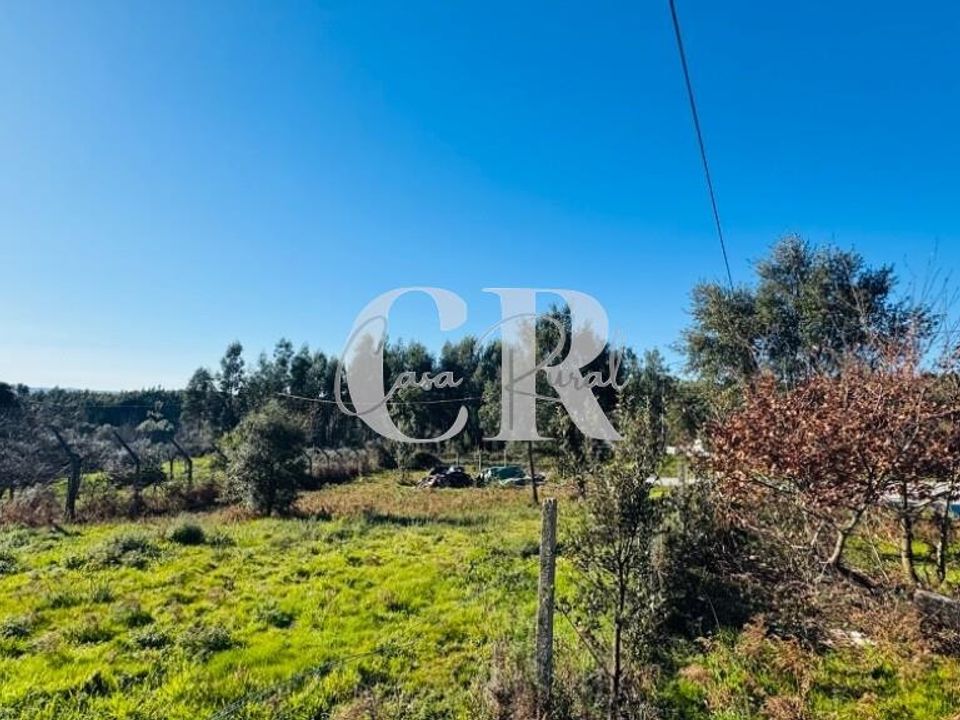 Helårsgrund i Pedrogao Grande, Leiria - foto 5
