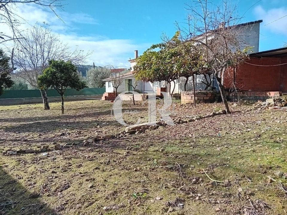 Byhus i Serta, Castelo Branco - foto 5