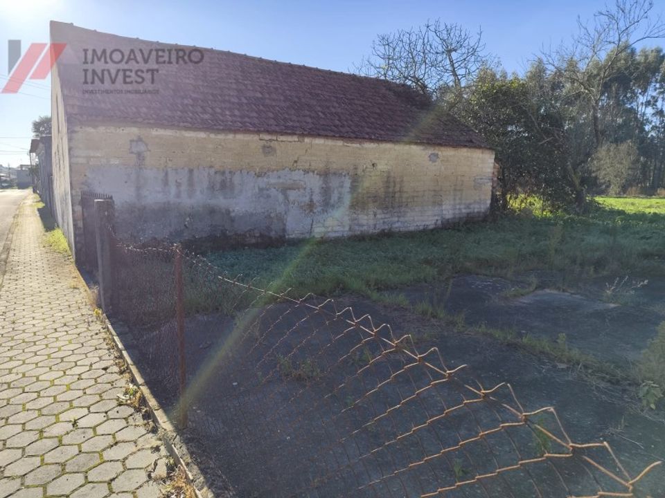 Landejendom i Oliveira do Bairro, Aveiro - foto 5