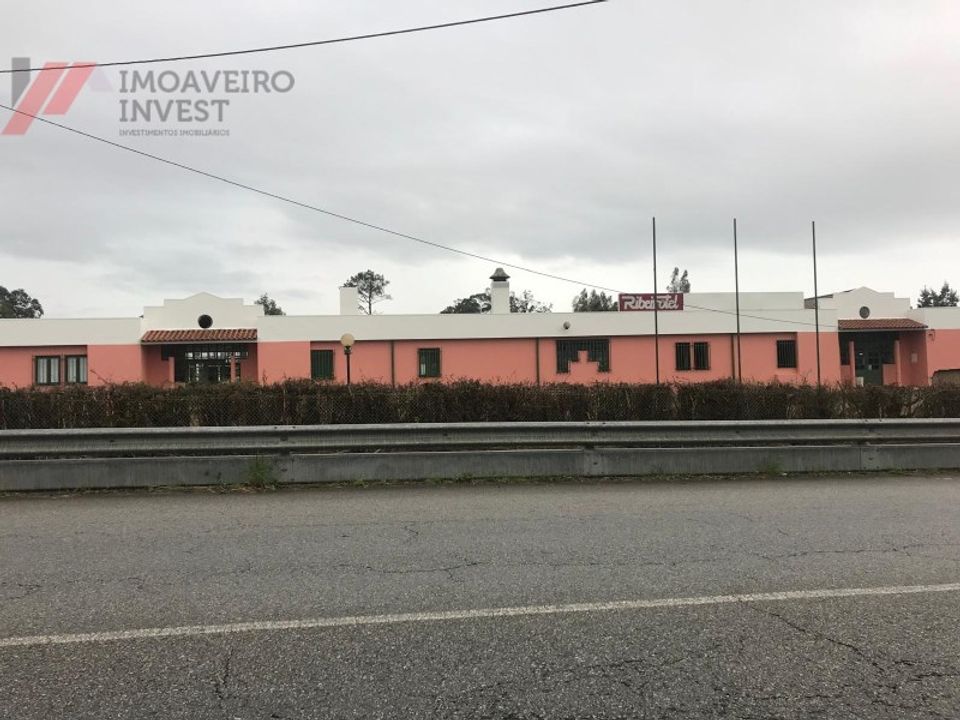 Erhvervsejendom i Albergaria-a-Velha, Aveiro - foto 4