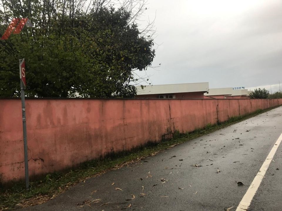 Erhvervsejendom i Albergaria-a-Velha, Aveiro - foto 5