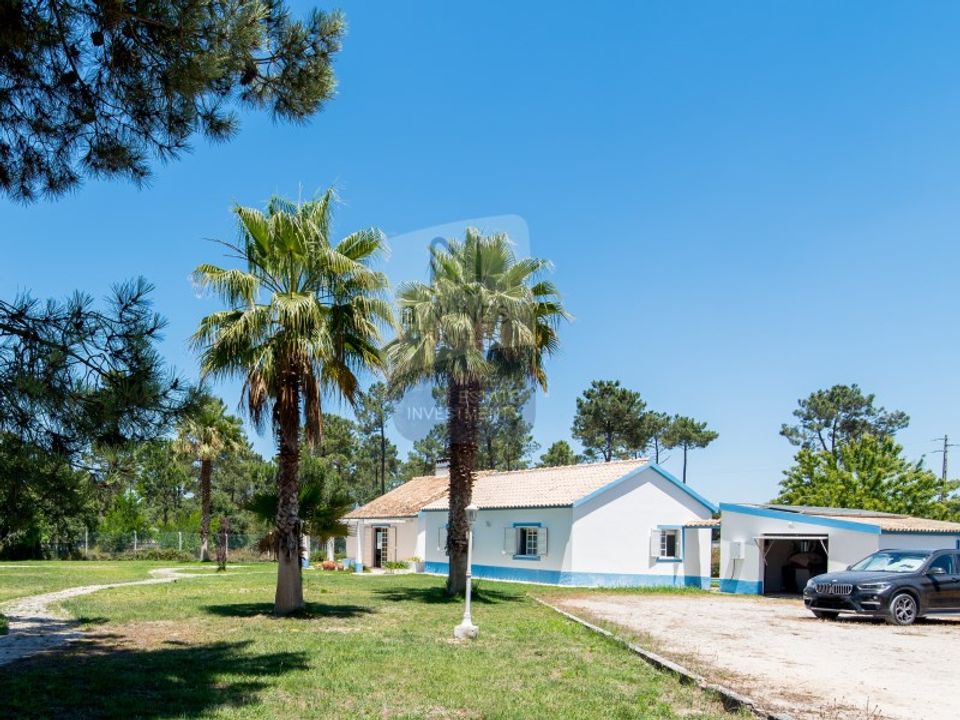 Farm i Brejos de Azeitao, Setubal - foto 2