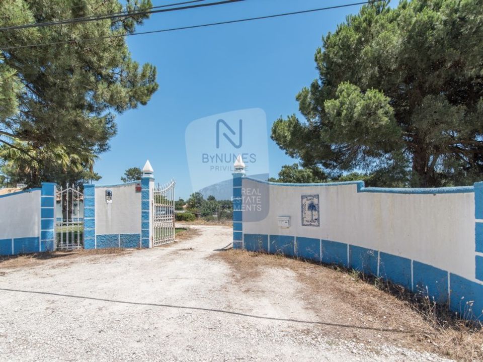 Farm i Brejos de Azeitao, Setubal - foto 3