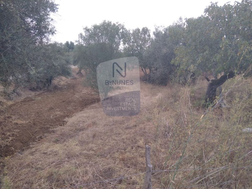 Helårsgrund i Sardoal, Santarem - foto 1