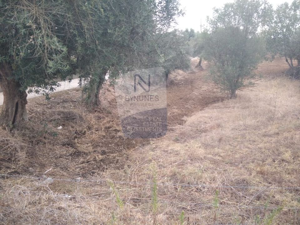Helårsgrund i Sardoal, Santarem - foto 2