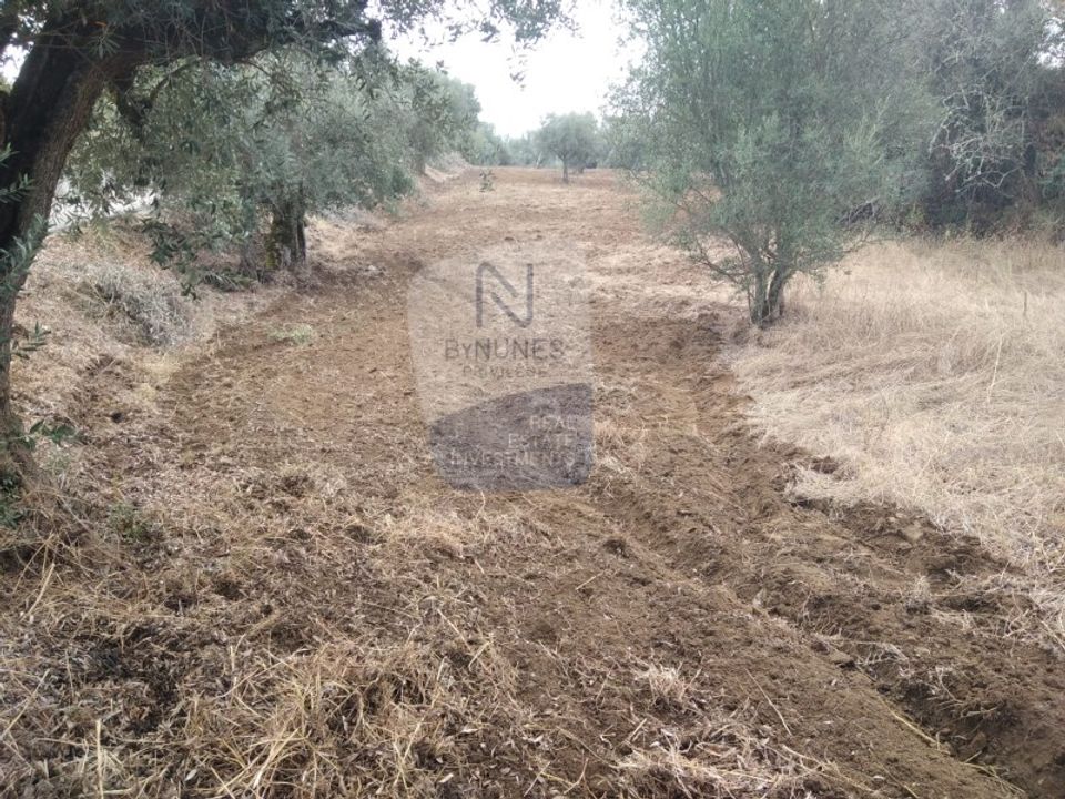 Helårsgrund i Sardoal, Santarem - foto 4