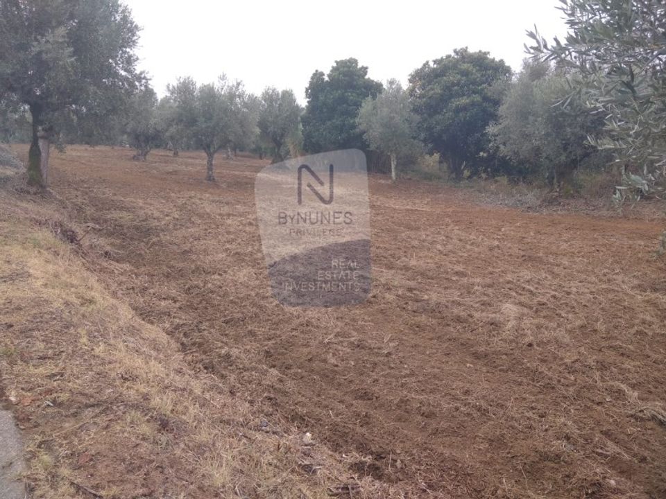 Helårsgrund i Sardoal, Santarem - foto 5