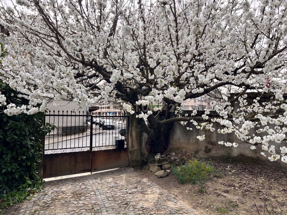Villa i Vila Real, Vila Real - foto 3