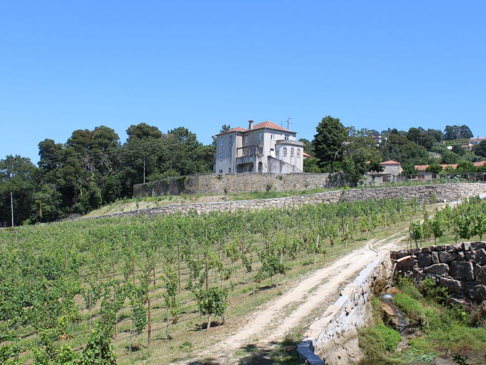Farm hus i Santo Tirso, Porto - foto 1