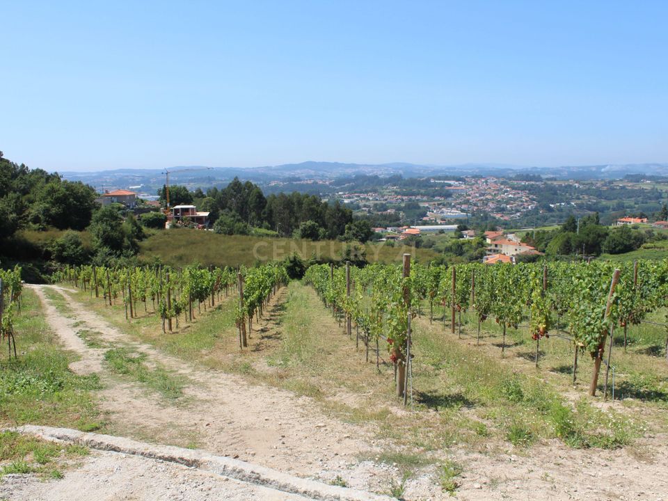 Farm hus i Santo Tirso, Porto - foto 4