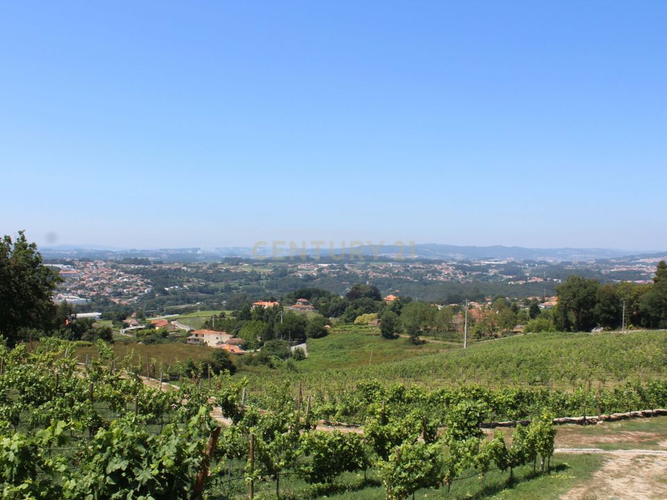 Farm hus i Santo Tirso, Porto - foto 5