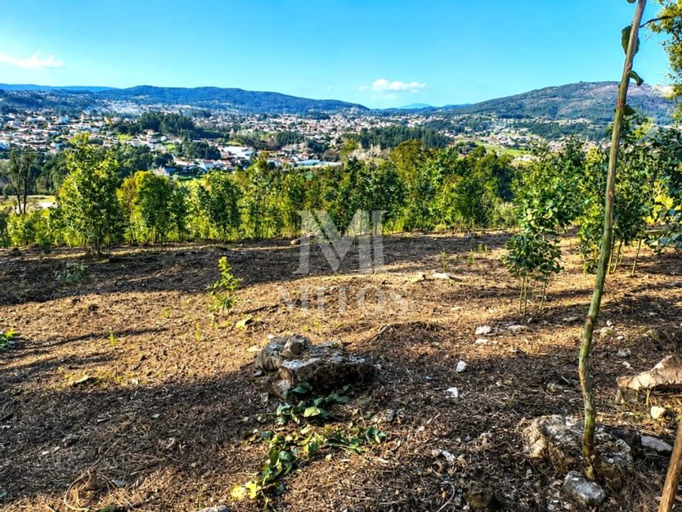 Helårsgrund i Barcelos, Braga - foto 1