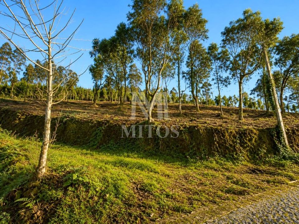 Helårsgrund i Barcelos, Braga - foto 5
