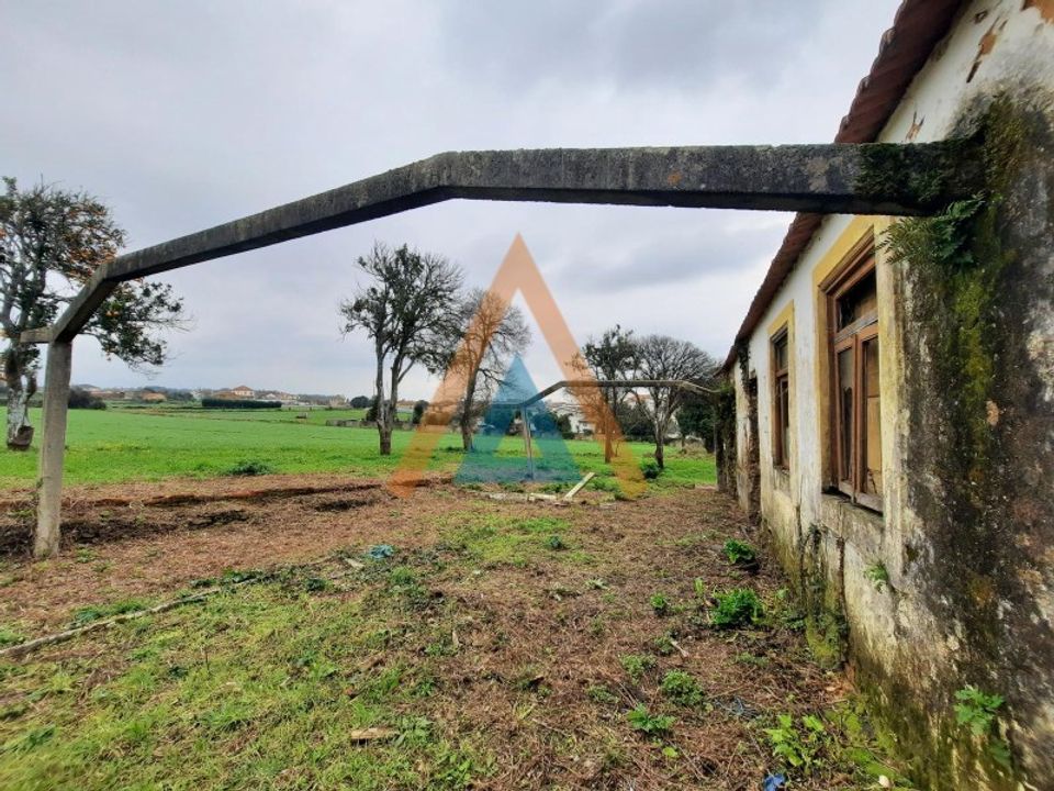 Farm i Ovar, Aveiro - foto 2
