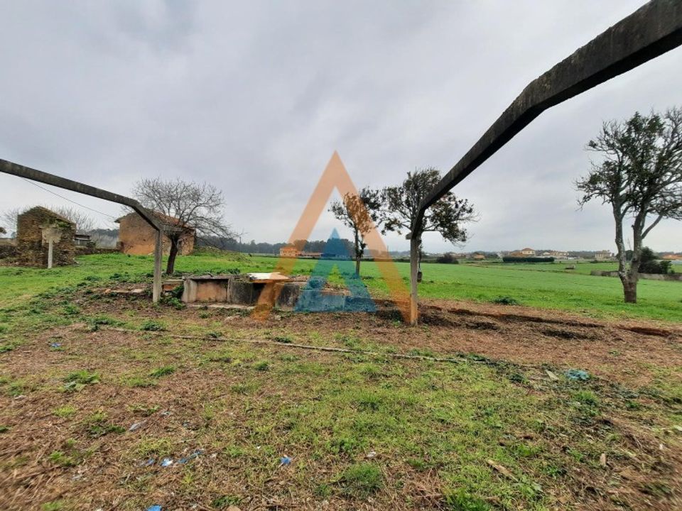 Farm i Ovar, Aveiro - foto 4