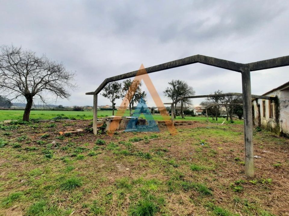 Farm i Ovar, Aveiro - foto 5