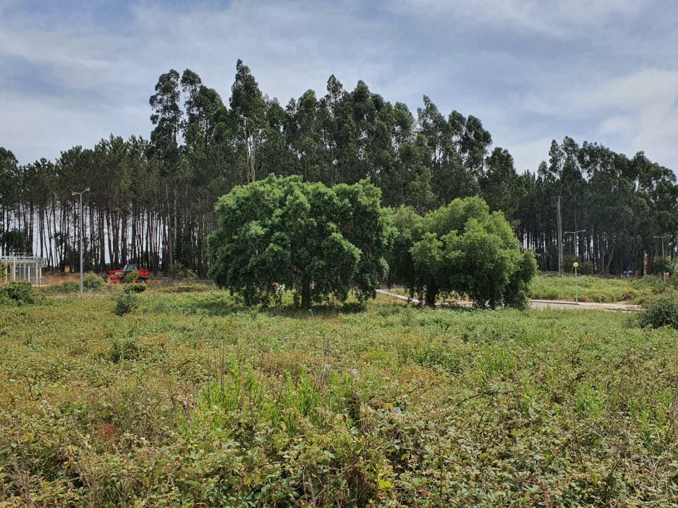 Villa i Ferreira do Zezere, Santarem - foto 1